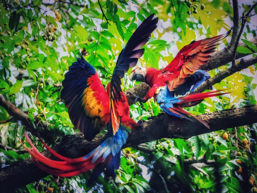 074e4d12-4b0a-4729-be30-f530d6785a6d