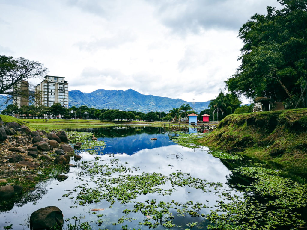 16416835-3cae-4d4c-8c9f-3a2cc594c8bb