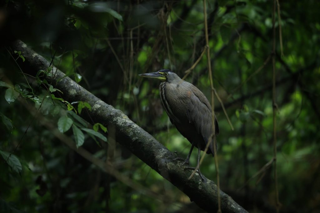 2d12b65e-2c02-46ed-b7d3-96b9f5a68931