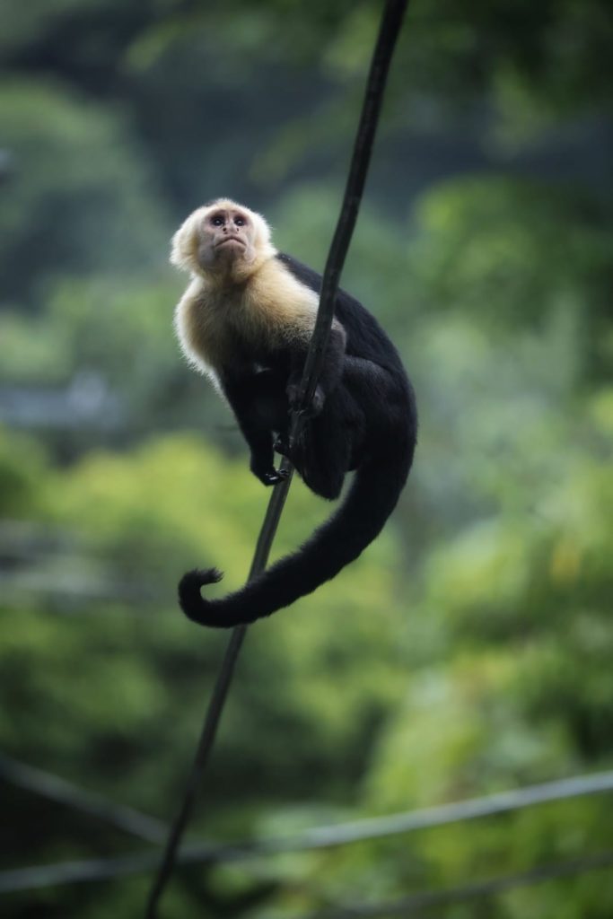 3a431f2b-610e-4131-a48d-cd48d4c2327d