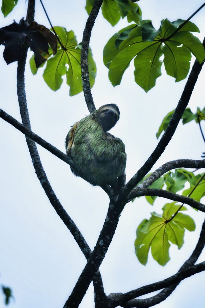 467f9d91-18d0-4d7c-8bc6-af1b4c6950d9