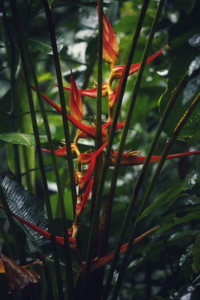 478c1232-5275-4011-8c4b-d554fa1eaf18