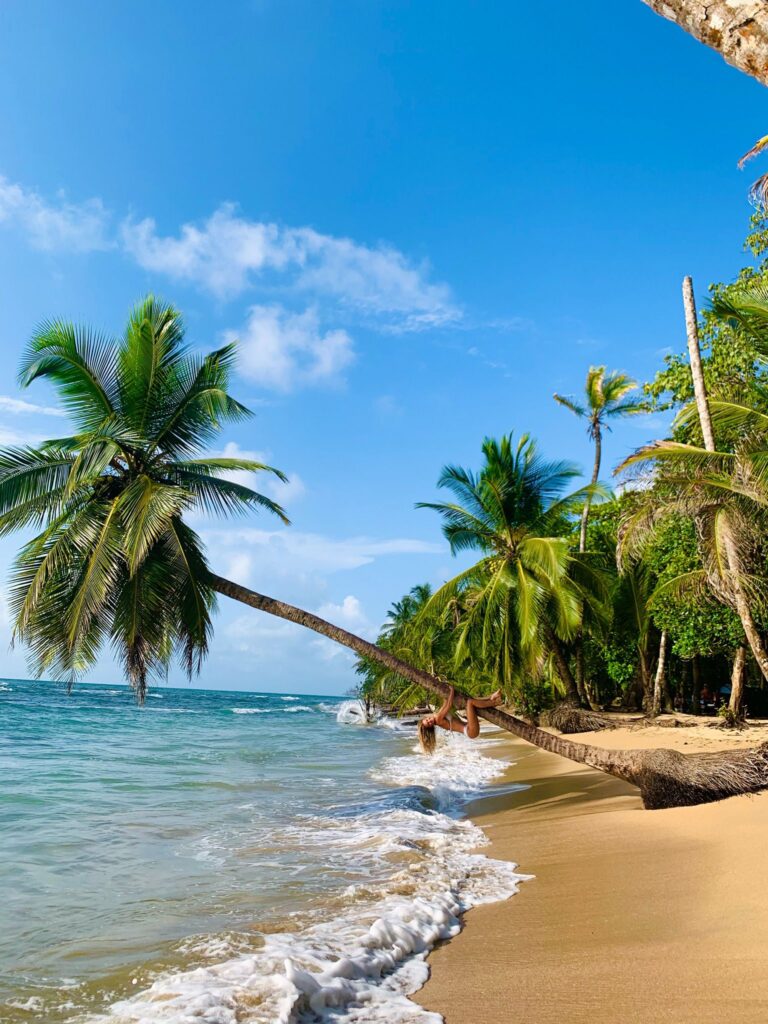 WhatsApp Bild 2023-09-22 um 16.07.06cfvgbhnm